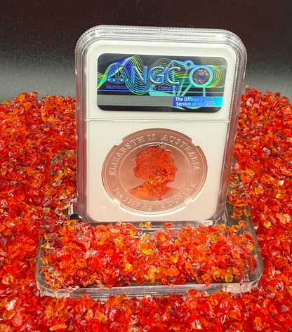 2023 P Silver $1 Australia Lunar Series III Year of the Rabbit Colorized Brown NGC MS70 First Releases Red Lunar Label New Holder Mint Condition (1 of 311)