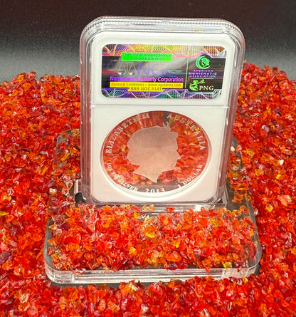 Proof 2013 P Silver $1 Australia Lunar Series II Year of the Snake Colorized Yellow NGC PF70 Red Lunar Label New Holder (Rare 1 of 280)