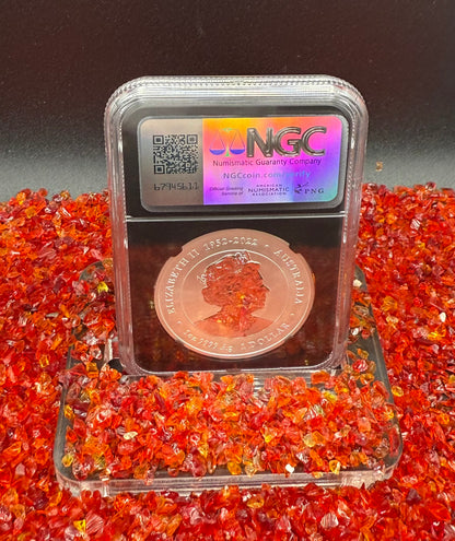 2024 P125 Silver $1 Australia Lunar Series III Year of the Dragon Gold Colorized NGC MS70 Early Releases ANA Chicago Red Lunar Label Black Core New Holder (Rare 1 of 138)
