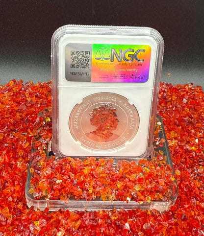 2024 P125 Silver $1 Australia Lunar Series III Year of the Dragon Yellow Colorized NGC MS70 First Releases Limited Edition Red Lunar Label New Holder (Rare 1 of 193)