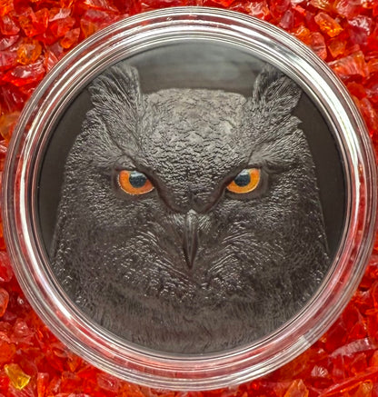 Proof 2021 $10 Palau Eagle Owl Hunters by Night 2 Ounce Silver .999 Obsidian Black Ultra High Relief Coin Rare 1 of 888 CIT Includes COA & Display Case