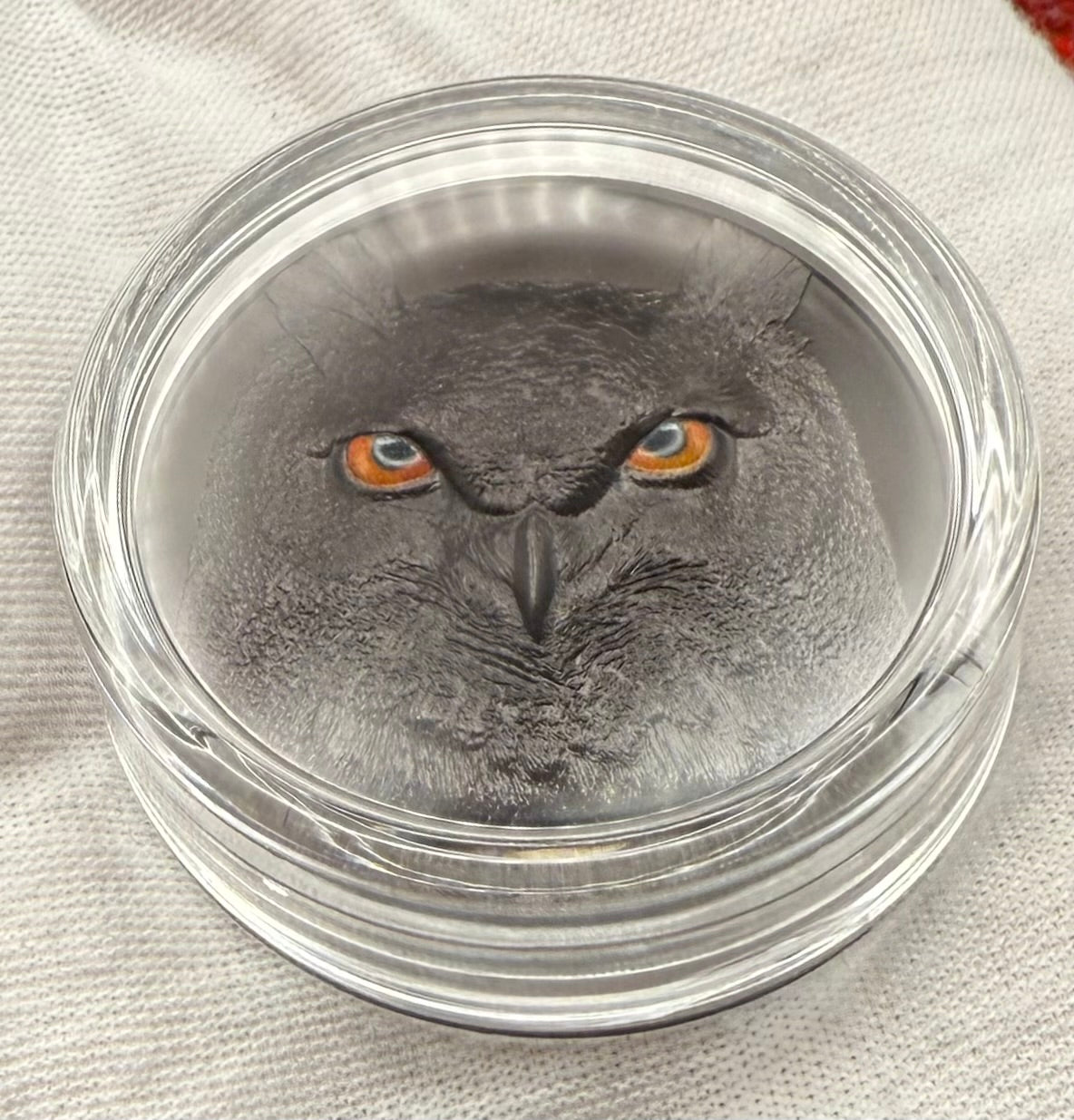 Proof 2021 $10 Palau Eagle Owl Hunters by Night 2 Ounce Silver .999 Obsidian Black Ultra High Relief Coin Rare 1 of 888 CIT Includes COA & Display Case