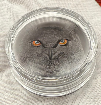 Proof 2021 $10 Palau Eagle Owl Hunters by Night 2 Ounce Silver .999 Obsidian Black Ultra High Relief Coin Rare 1 of 888 CIT Includes COA & Display Case