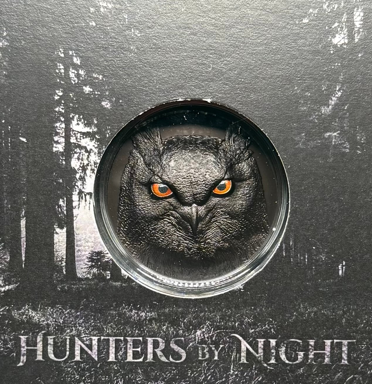 Proof 2021 $10 Palau Eagle Owl Hunters by Night 2 Ounce Silver .999 Obsidian Black Ultra High Relief Coin Rare 1 of 888 CIT Includes COA & Display Case