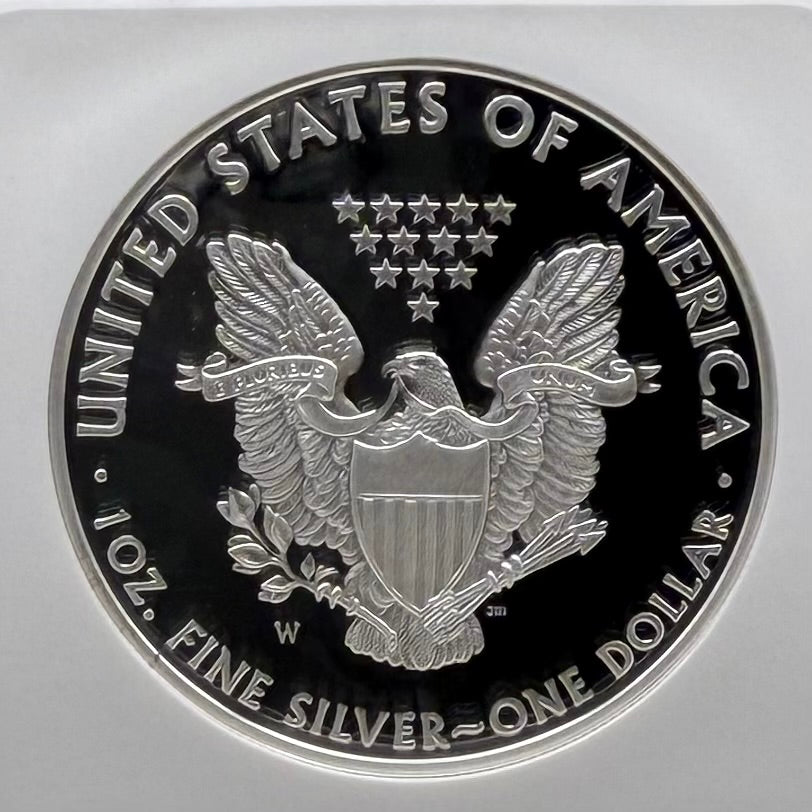 Proof 2008 (W) $1 American Silver Eagle NGC PF70UC Classic Brown Label (1 of 15,136)