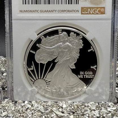 Proof 2011 (W) $1 American Silver Eagle NGC PF70UC 25th Anniversary Modern Brown Label Mint (1 of 9,295)
