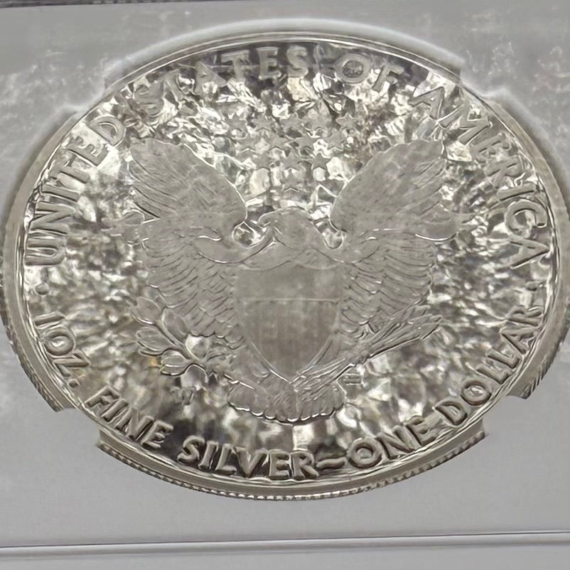 Proof 2019 (W) $1 American Silver Eagle NGC PF70UC Modern Brown Label White Holder (1 of 3,491)