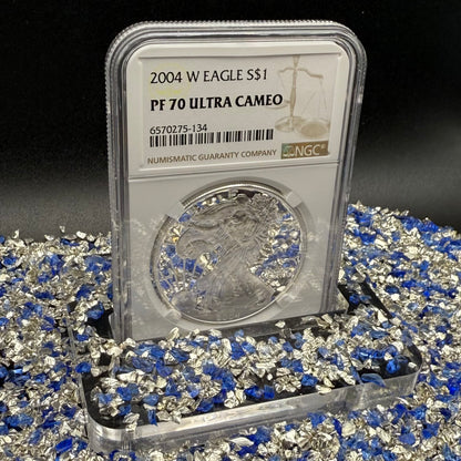 Proof 2004 (W) $1 American Silver Eagle NGC PF70UC Modern Brown Label (1 of 12,325)
