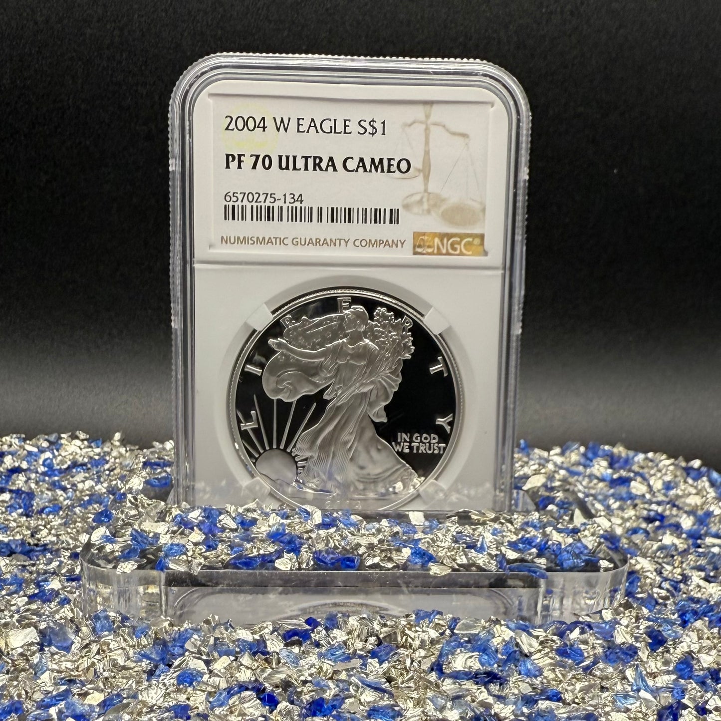 Proof 2004 (W) $1 American Silver Eagle NGC PF70UC Modern Brown Label (1 of 12,325)