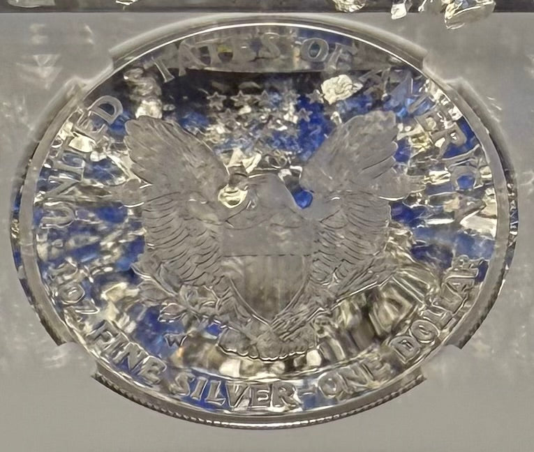 Proof 2004 (W) $1 American Silver Eagle NGC PF70UC Modern Brown Label (1 of 12,325)