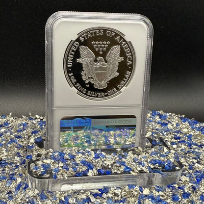 Proof 2004 (W) $1 American Silver Eagle NGC PF70UC Modern Brown Label (1 of 12,325)