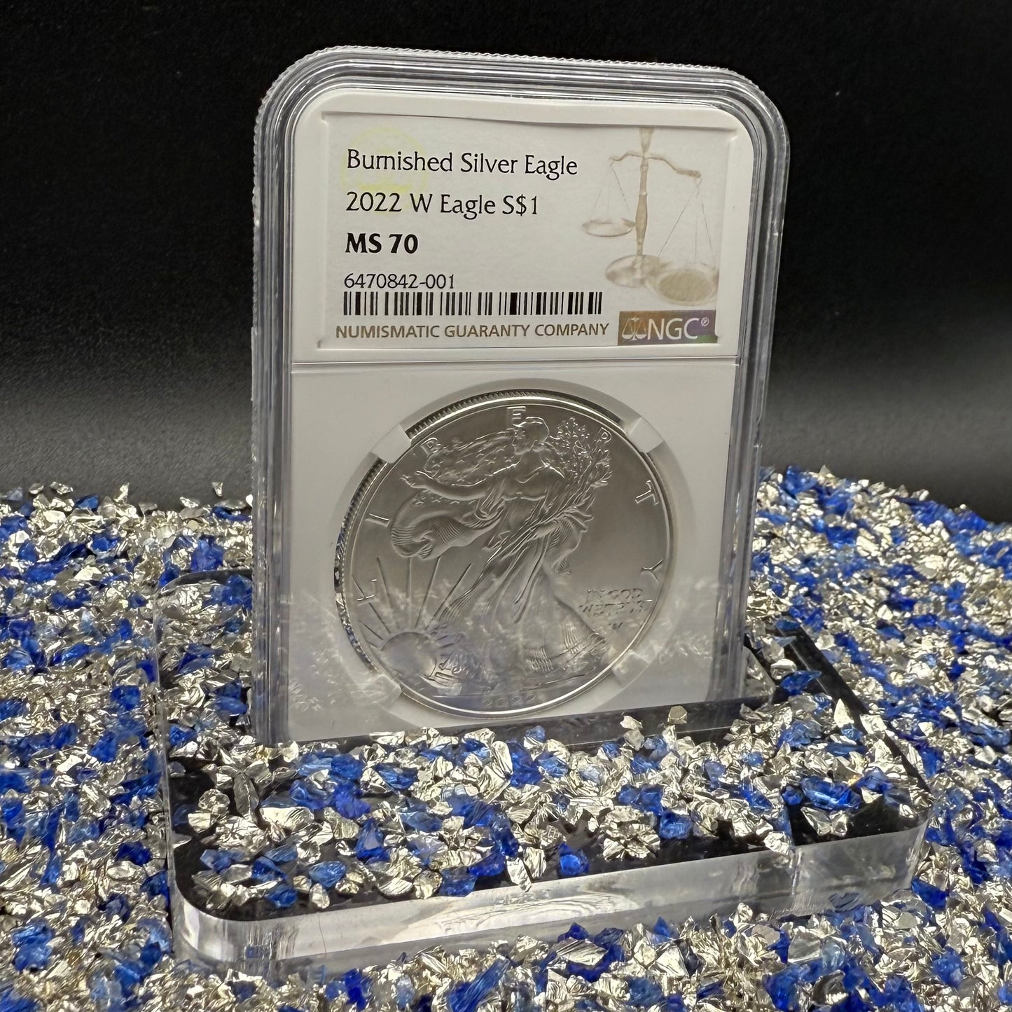 Burnished 2022 (W) $1 American Silver Eagle NCG MS70 Modern Brown Label Mint Condition (1 of 3,027)