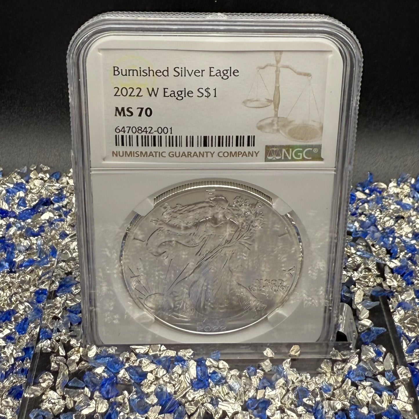 Burnished 2022 (W) $1 American Silver Eagle NCG MS70 Modern Brown Label Mint Condition (1 of 3,027)