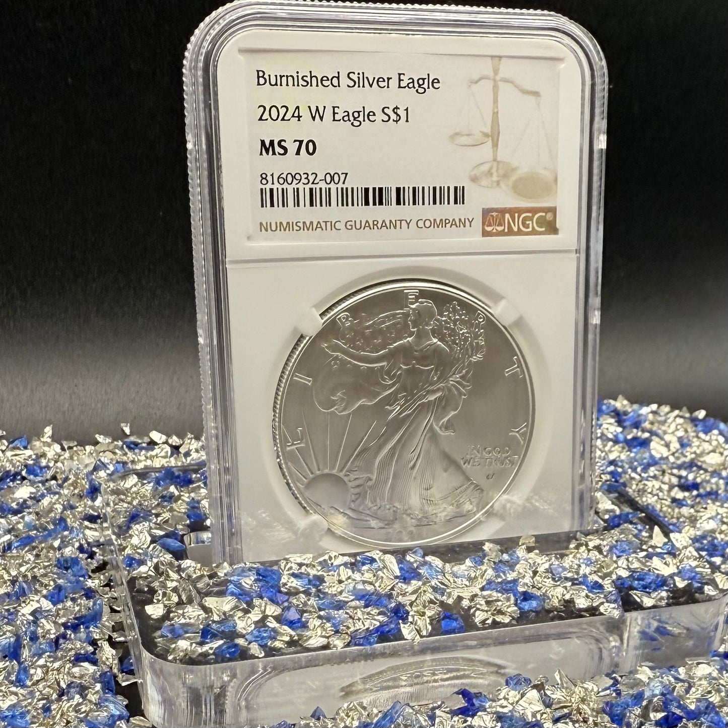 Burnished 2024 (W) $1 American Silver Eagle NCG MS70 Modern Brown Label Mint Condition (1 of 1,624)