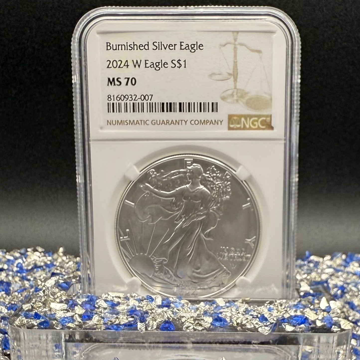 Burnished 2024 (W) $1 American Silver Eagle NCG MS70 Modern Brown Label Mint Condition (1 of 1,624)