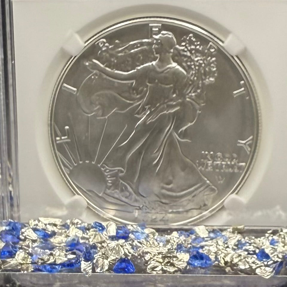 Burnished 2024 (W) $1 American Silver Eagle NCG MS70 Modern Brown Label Mint Condition (1 of 1,624)