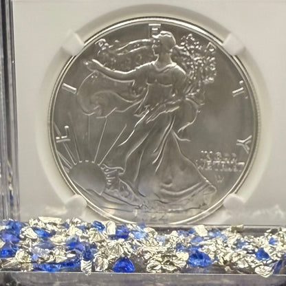 Burnished 2024 (W) $1 American Silver Eagle NCG MS70 Modern Brown Label Mint Condition (1 of 1,624)