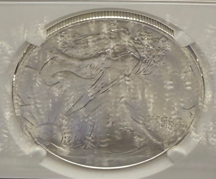 Burnished 2024 (W) $1 American Silver Eagle NCG MS70 Modern Brown Label Mint Condition (1 of 1,624)