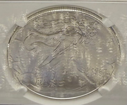 Burnished 2024 (W) $1 American Silver Eagle NCG MS70 Modern Brown Label Mint Condition (1 of 1,624)