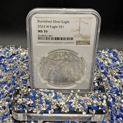 Burnished 2024 (W) $1 American Silver Eagle NCG MS70 Modern Brown Label Mint Condition (1 of 1,624)