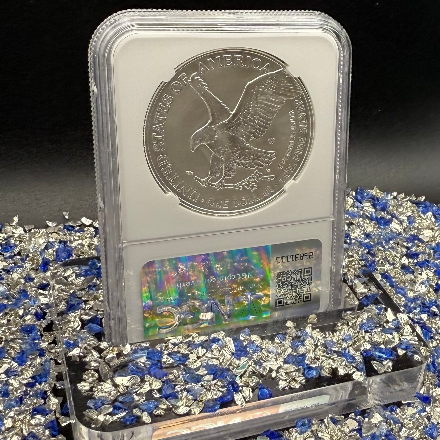 Burnished 2024 (W) $1 American Silver Eagle NCG MS70 Modern Brown Label Mint Condition (1 of 1,624)