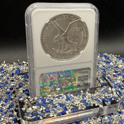 Burnished 2024 (W) $1 American Silver Eagle NCG MS70 Modern Brown Label Mint Condition (1 of 1,624)