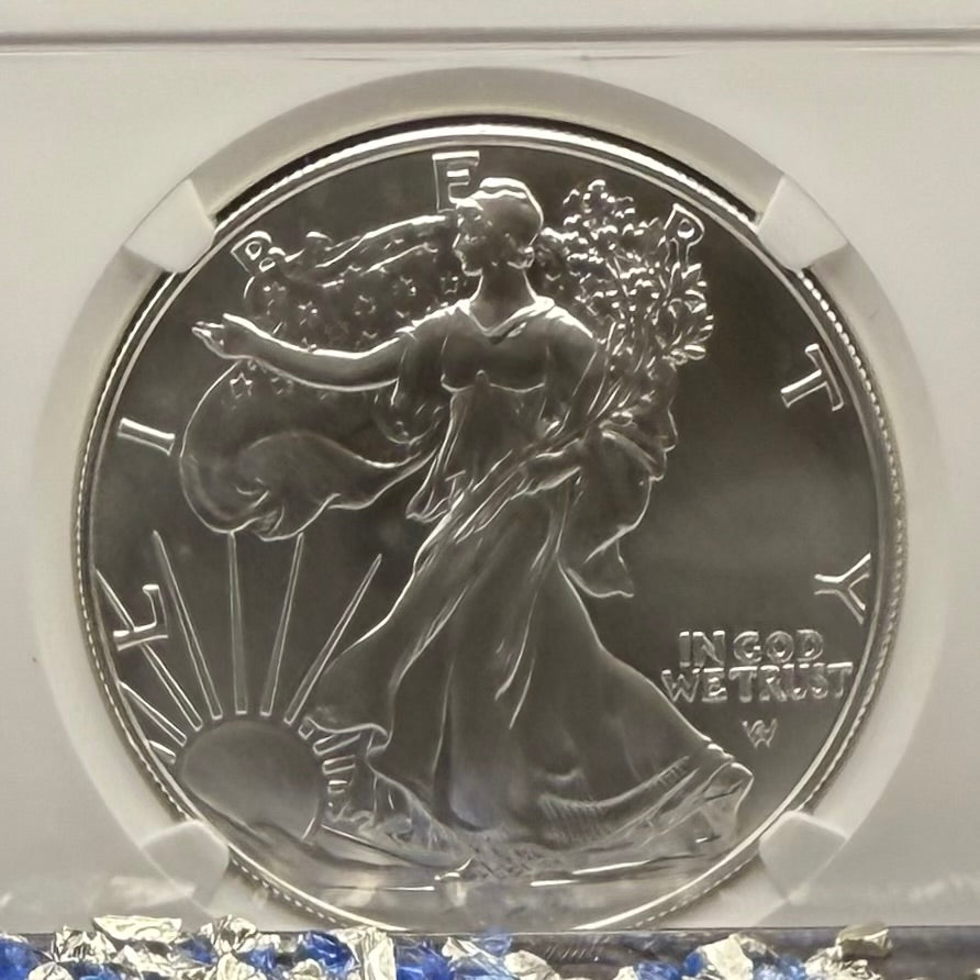 Burnished 2023 (W) $1 American Silver Eagle NCG MS70 Modern Brown Label Mint Condition (1 of 1,528)