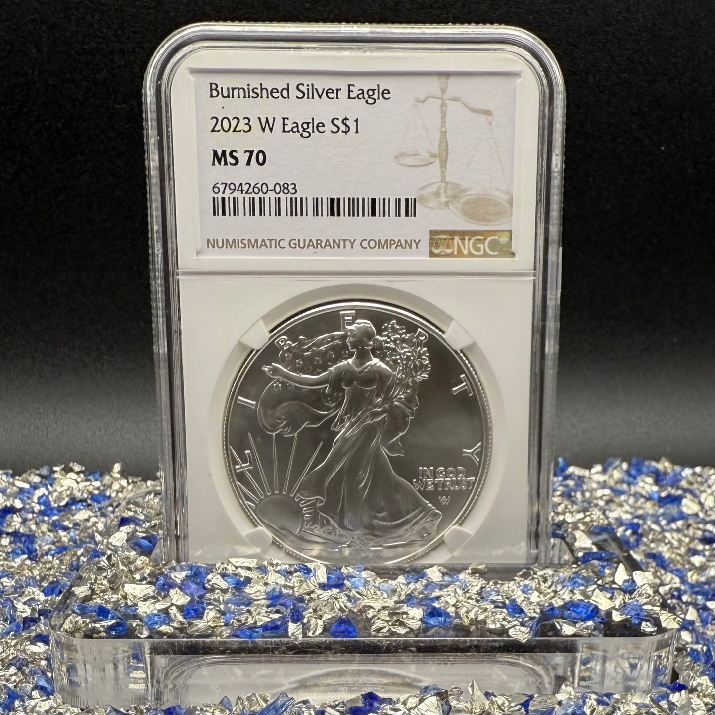 Burnished 2023 (W) $1 American Silver Eagle NCG MS70 Modern Brown Label Mint Condition (1 of 1,528)