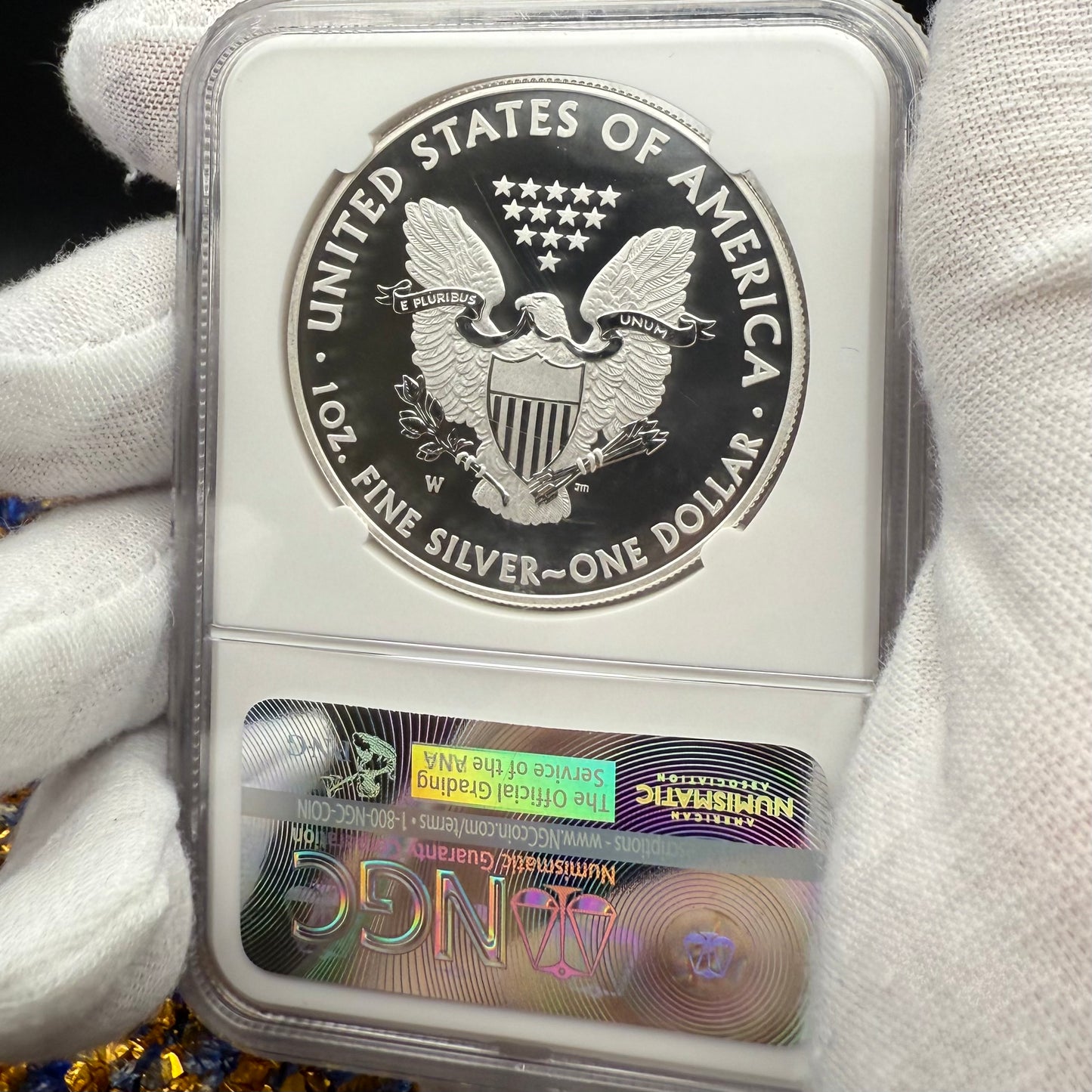 Reverse Proof & Enhanced Finish (2 Coin Set) 2013 (W) $1 American Silver Eagle NGC PF70 White Core Holder Gold Star Label Mint