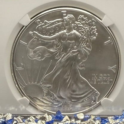 Burnished 2017 (W) $1 American Silver Eagle NGC MS70 Rare Premier Select Series Label Mint Condition