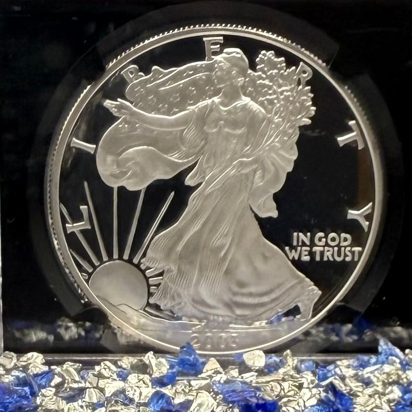 Proof 2003 (W) $1 American Silver Eagle NGC PF70UC Classic Blue Label Black Holder (1 of 11,073)