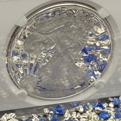 Proof 2013 (W) $1 American Silver Eagle NGC PF70 Classic Brown Label (1 of 8,802)