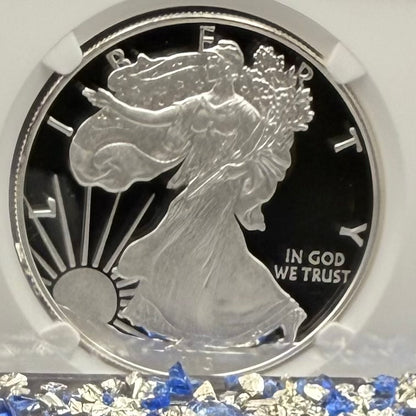 Proof 2013 (W) $1 American Silver Eagle NGC PF70 Classic Brown Label (1 of 8,802)