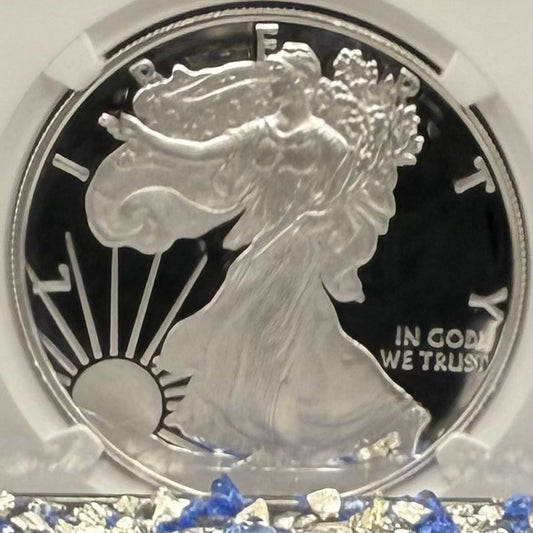 Proof 2020 (S) $1 American Silver Eagle NGC PF70UC Brown Label Spotless! (1 of 2,719)