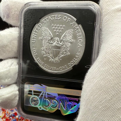 Burnished 2018 (W) $1 American Silver Eagle NGC MS70 Early Releases American Eagle Flag Label (1 of 3,383)
