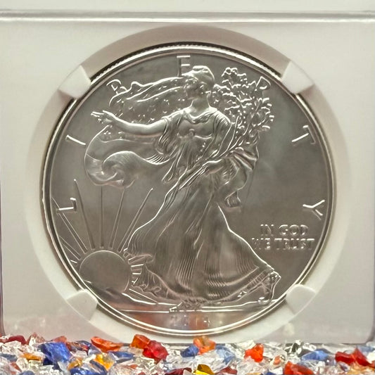 Burnished 2014 (W) $1 American Silver Eagle NGC MS70 Early Releases American Flag Label (1 of 6,552)