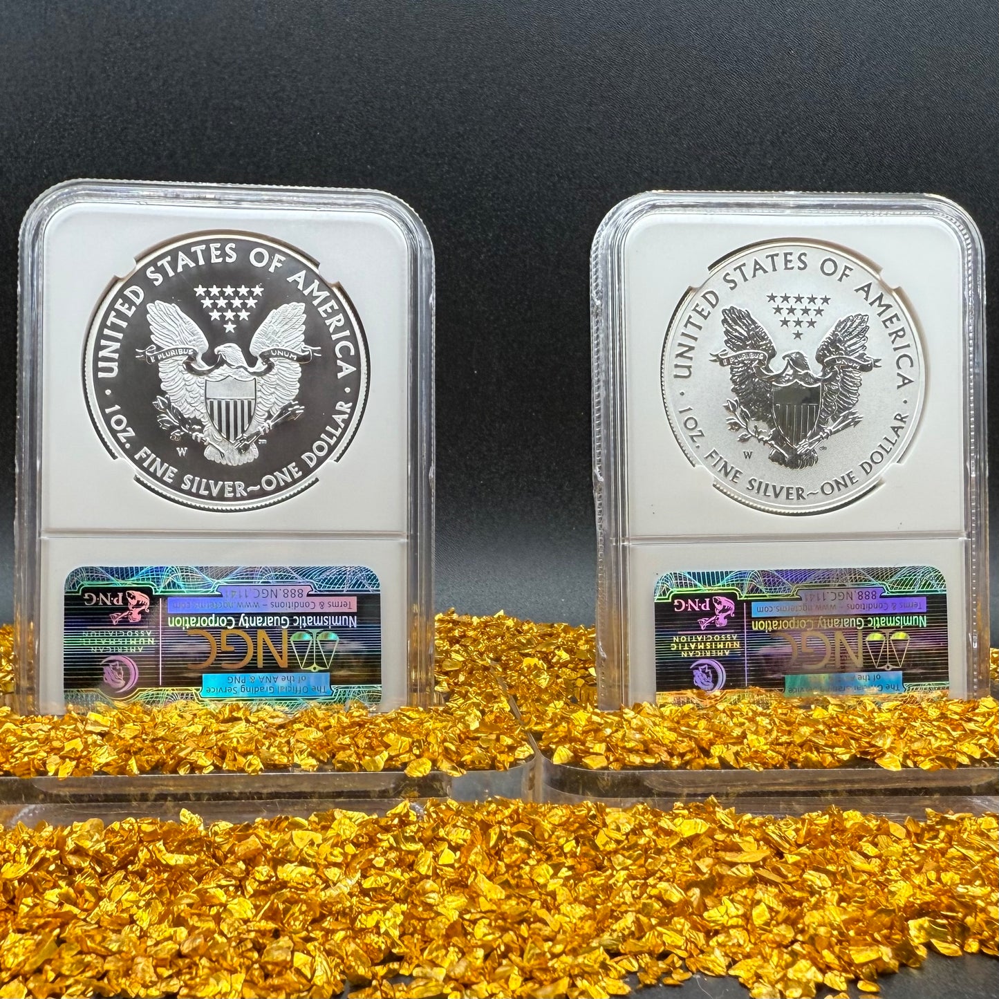 Reverse Proof & Enhanced Finish (2 Coin Set) 2013 (W) $1 American Silver Eagle NGC PF70 Early Releases White Core Holder Classic Blue Label