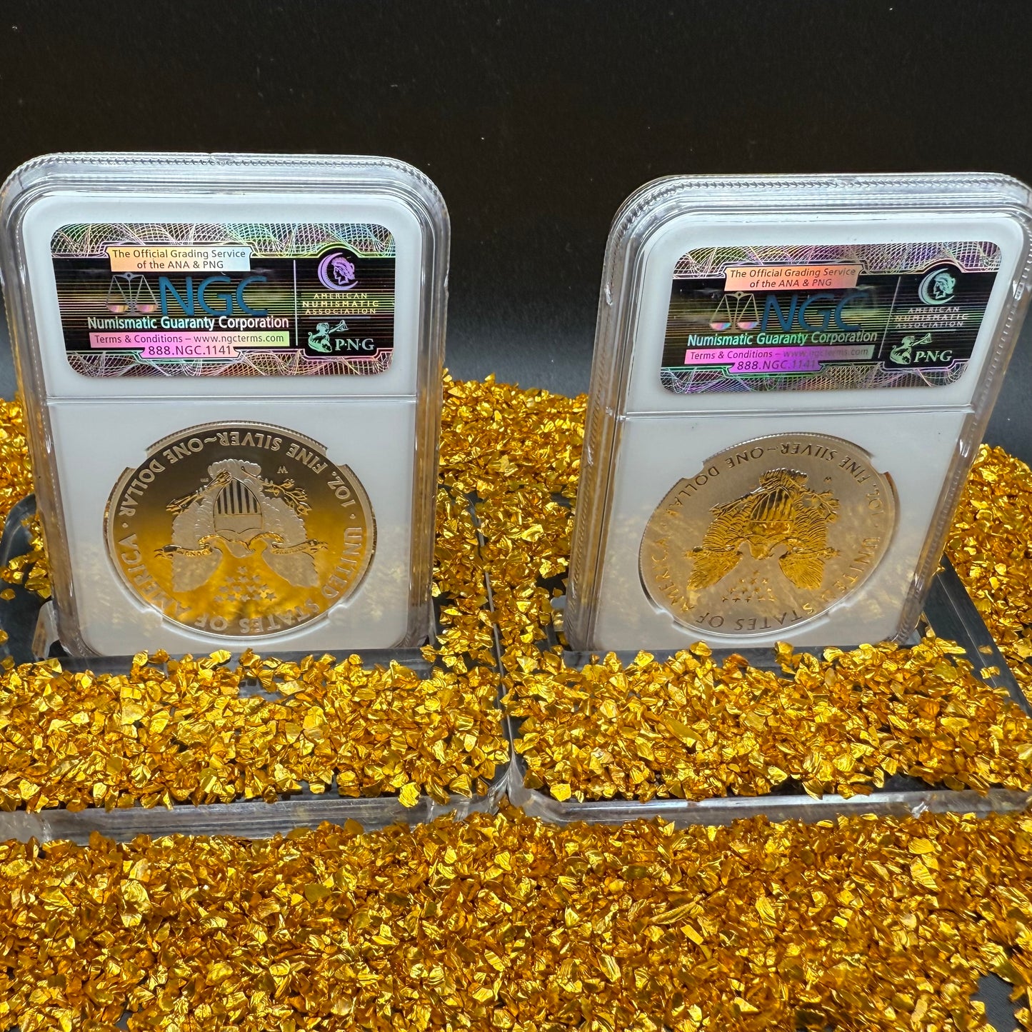 Reverse Proof & Enhanced Finish (2 Coin Set) 2013 (W) $1 American Silver Eagle NGC PF70 Early Releases White Core Holder Classic Blue Label