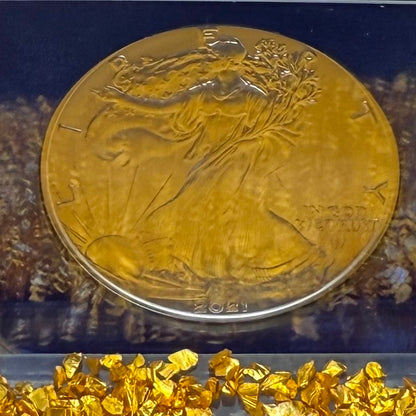 2021 T-2 $1 American Silver Eagle NGC MS70 First Releases Classic Blue Label in Blue Foil Holder Rare!