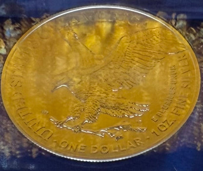 2021 T-2 $1 American Silver Eagle NGC MS70 First Releases Classic Blue Label in Blue Foil Holder Rare!