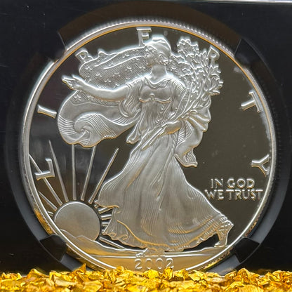 Proof 2002 (W) $1 American Silver Eagle NGC PF70UC Classic Blue Label Black Holder (1 of 6,153)