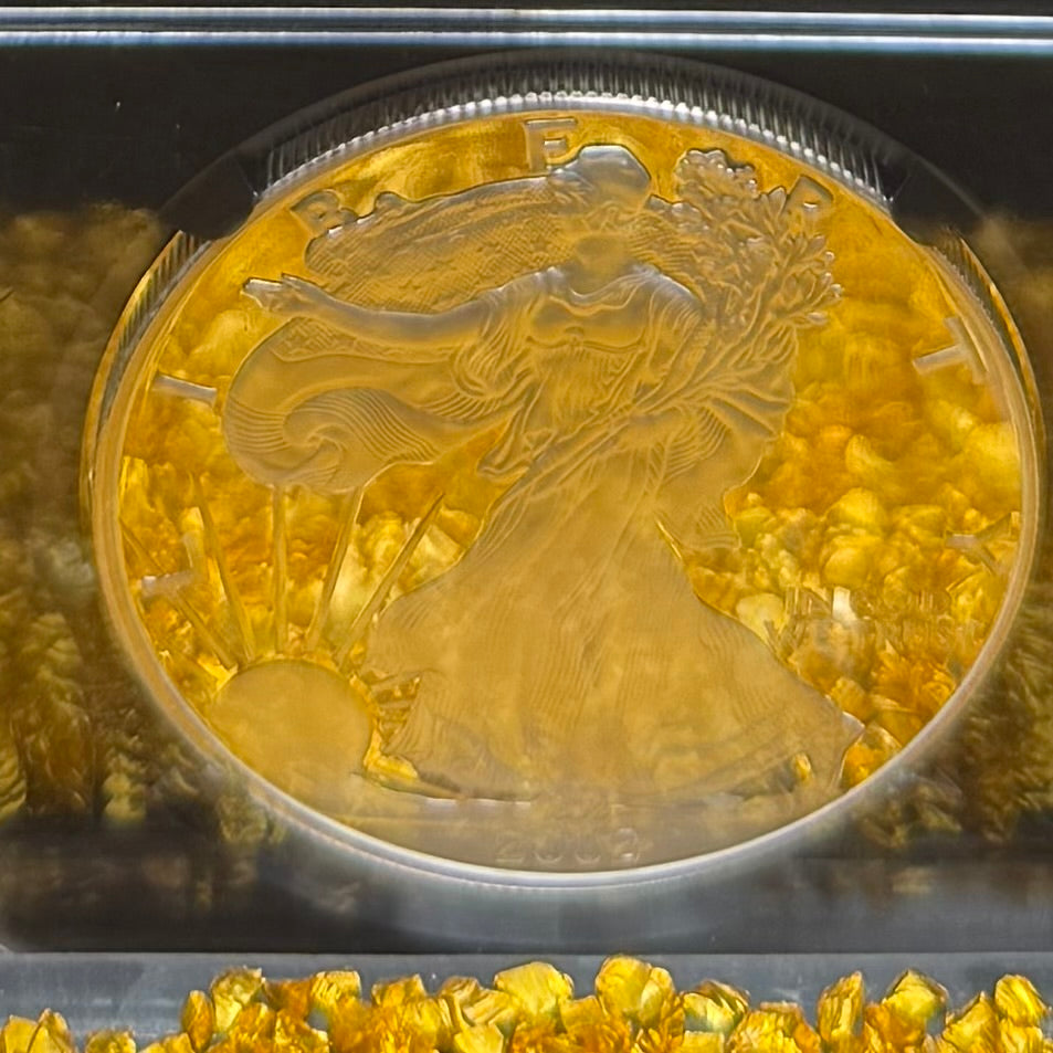 Proof 2002 (W) $1 American Silver Eagle NGC PF70UC Classic Blue Label Black Holder (1 of 6,153)