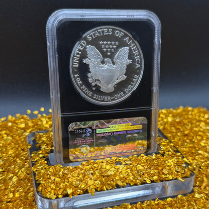 Proof 2002 (W) $1 American Silver Eagle NGC PF70UC Classic Blue Label Black Holder (1 of 6,153)