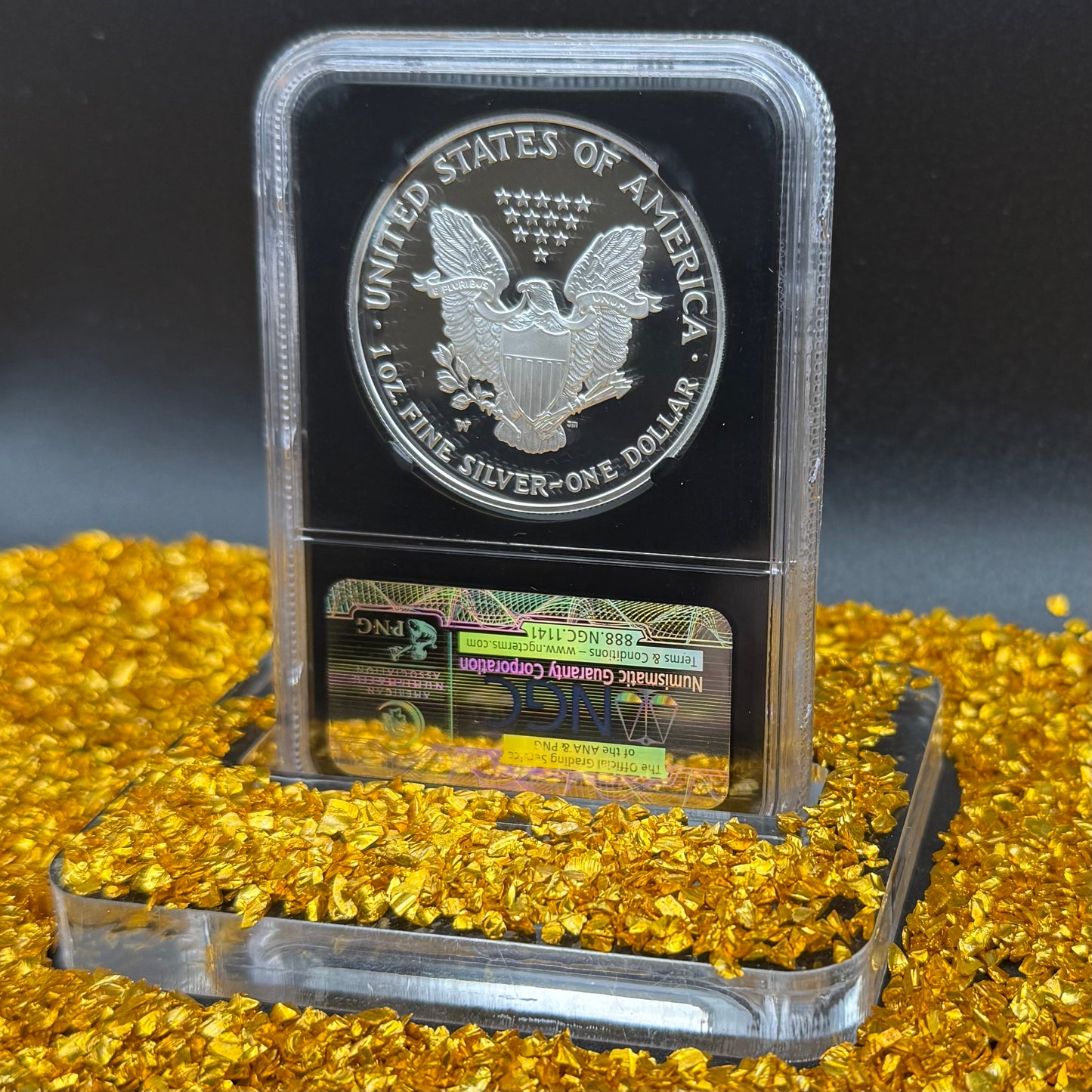 Proof 2002 (W) $1 American Silver Eagle NGC PF70UC Classic Blue Label Black Holder (1 of 6,153)