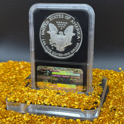 Proof 2002 (W) $1 American Silver Eagle NGC PF70UC Classic Blue Label Black Holder (1 of 6,153)