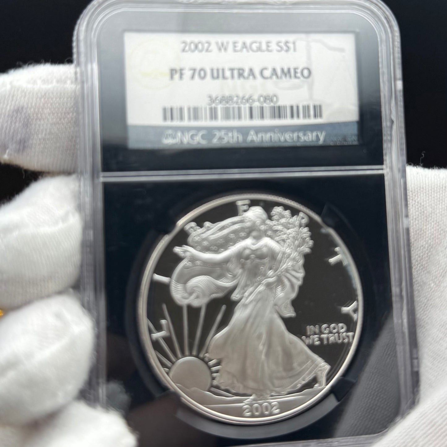 Proof 2002 (W) $1 American Silver Eagle NGC PF70UC Classic Blue Label Black Holder (1 of 6,153)