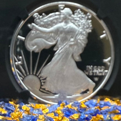 Proof 2024 (W) $1 American Silver Eagle NGC PF70 Modern Brown Label Mint Condition (1 of 3,472)