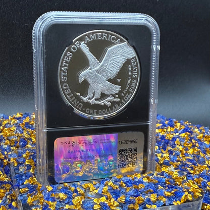 Proof 2024 (W) $1 American Silver Eagle NGC PF70 Modern Brown Label Mint Condition (1 of 3,472)