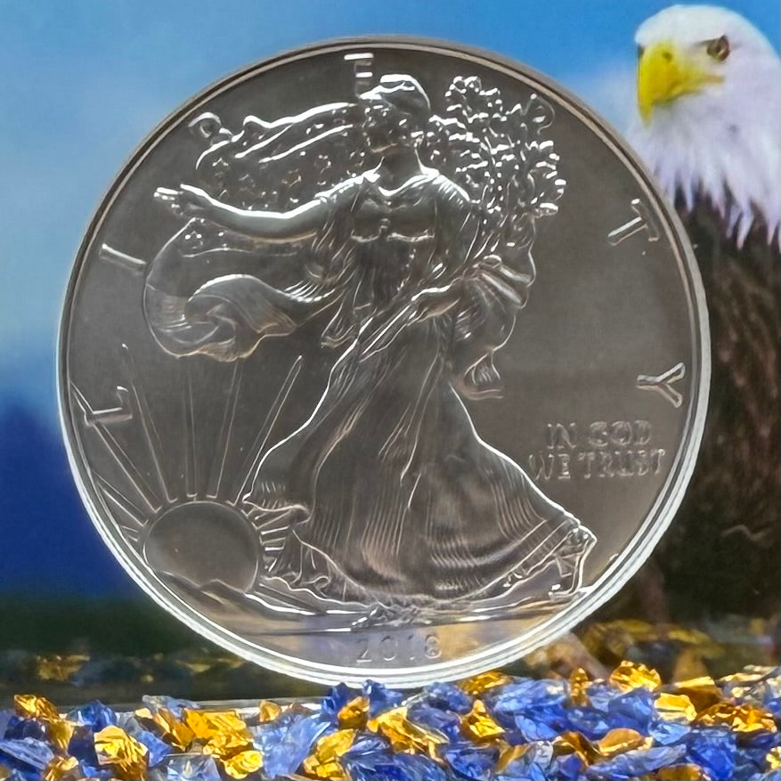 2018 $1 American Silver Eagle NGC MS70 First Day of Issue Eagle Holder Mint Condition (1 of 13,313)