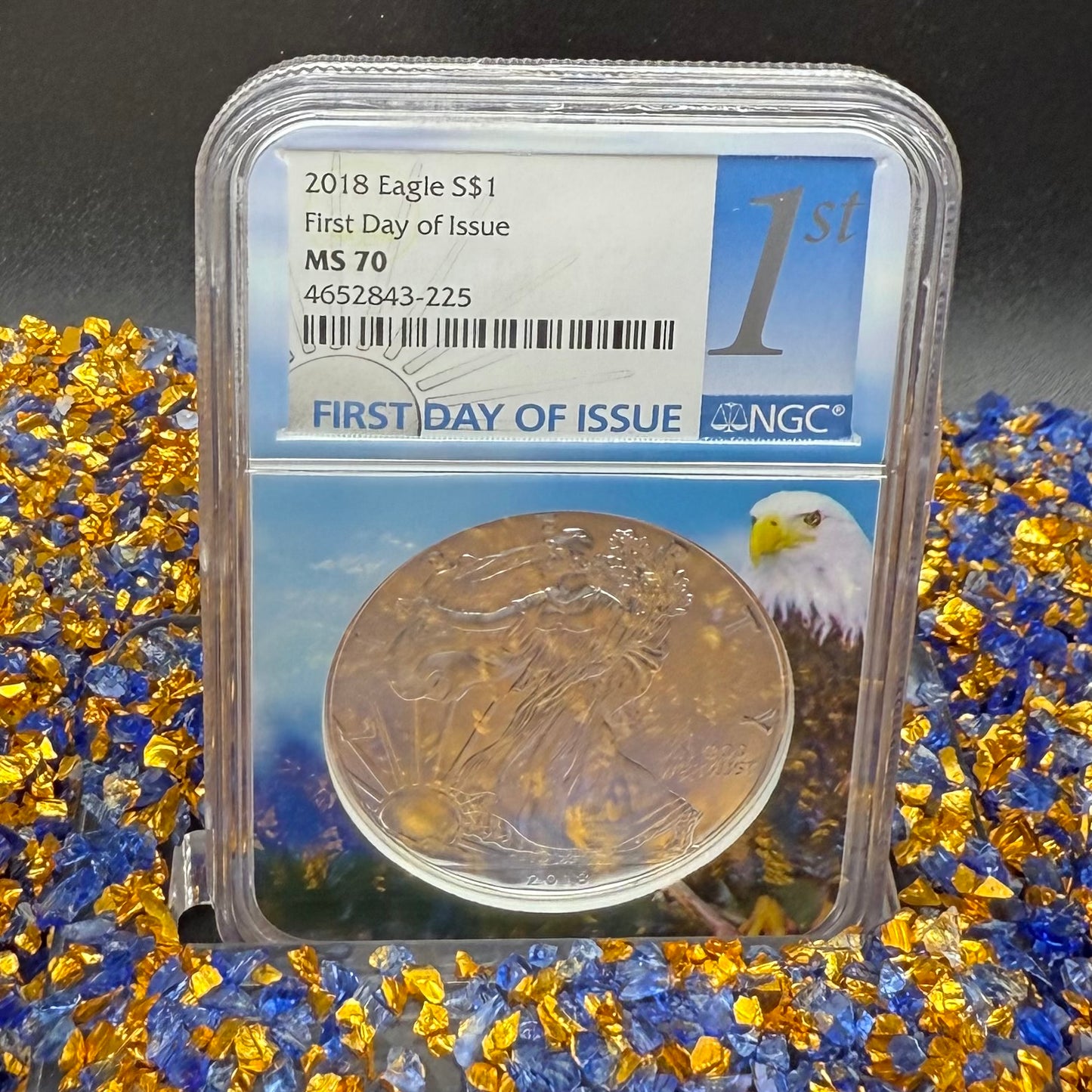 2018 $1 American Silver Eagle NGC MS70 First Day of Issue Eagle Holder Mint Condition (1 of 13,313)